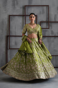 KD2208 Green emboidered blouse, lehenga and dupatta
