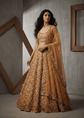 KD1119 Gold Lehenga Choli set