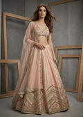 Woman wearing a traditional pink and gold embroidered outfit against a gray background with wooden frames.