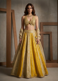 KD2221 Sage green & Mustard emb blouse lehenga and dupatta