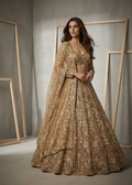 KD979 Gold net bridal lehenga choli set